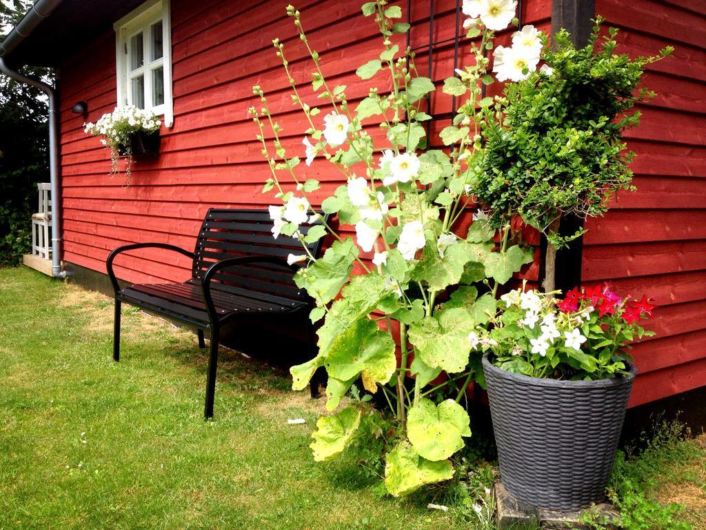Olholm Cottage Stege Habitación foto